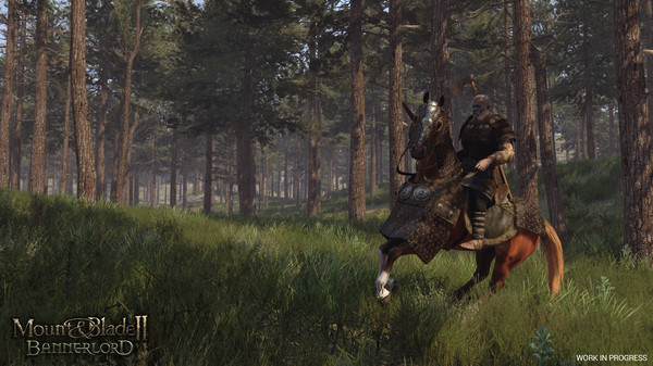 《骑马与砍杀2：领主》公布三种多人模式